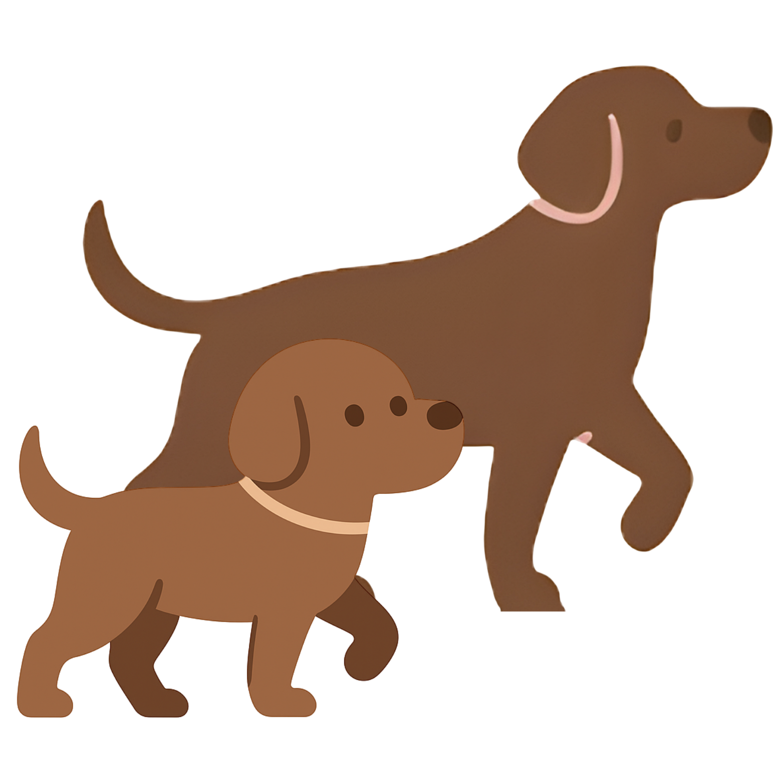 GoodDoi Dog